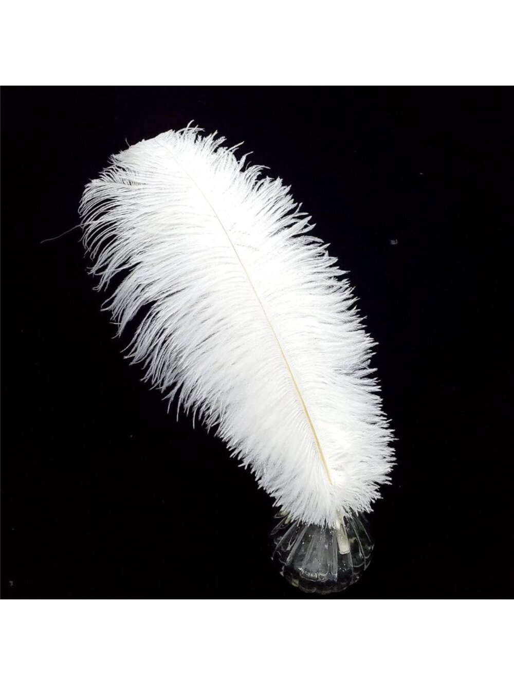Elegant White Ostrich Feathers for Wedding Decor & DIY Crafts - 10 Pack, 16-18